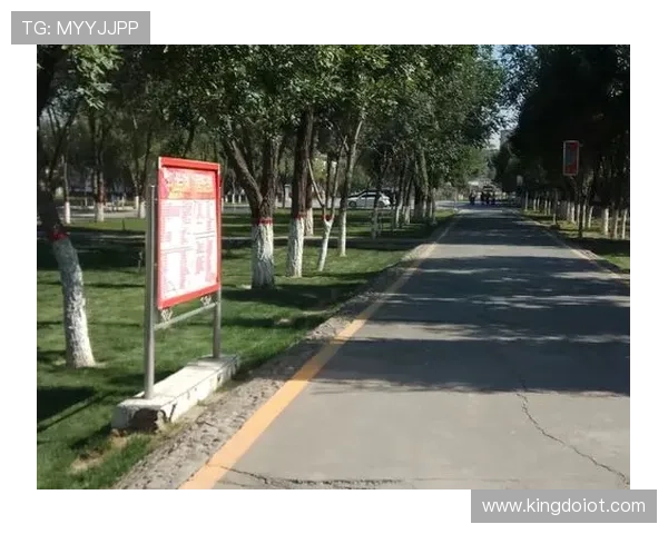 传奇归来足球明星赛盛典重燃激情球迷共聚欢庆足球之夜